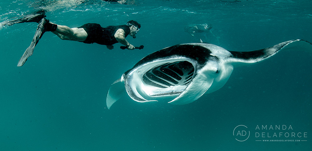 OceanLife Scuba Expeditions | Photography