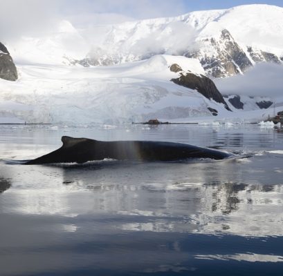 2027 Antarctica Expedition