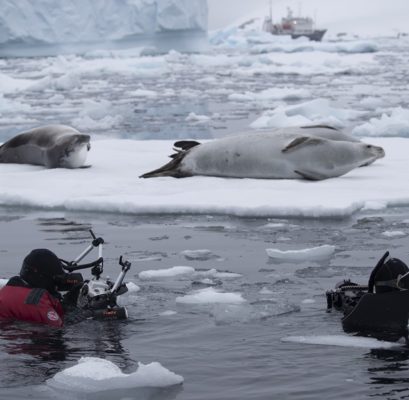 2027 Antarctica Expedition