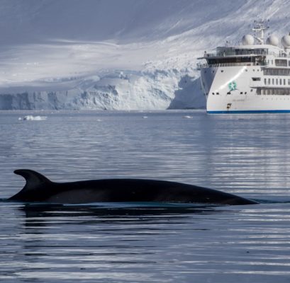2027 Antarctica Expedition