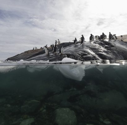 2027 Antarctica Expedition