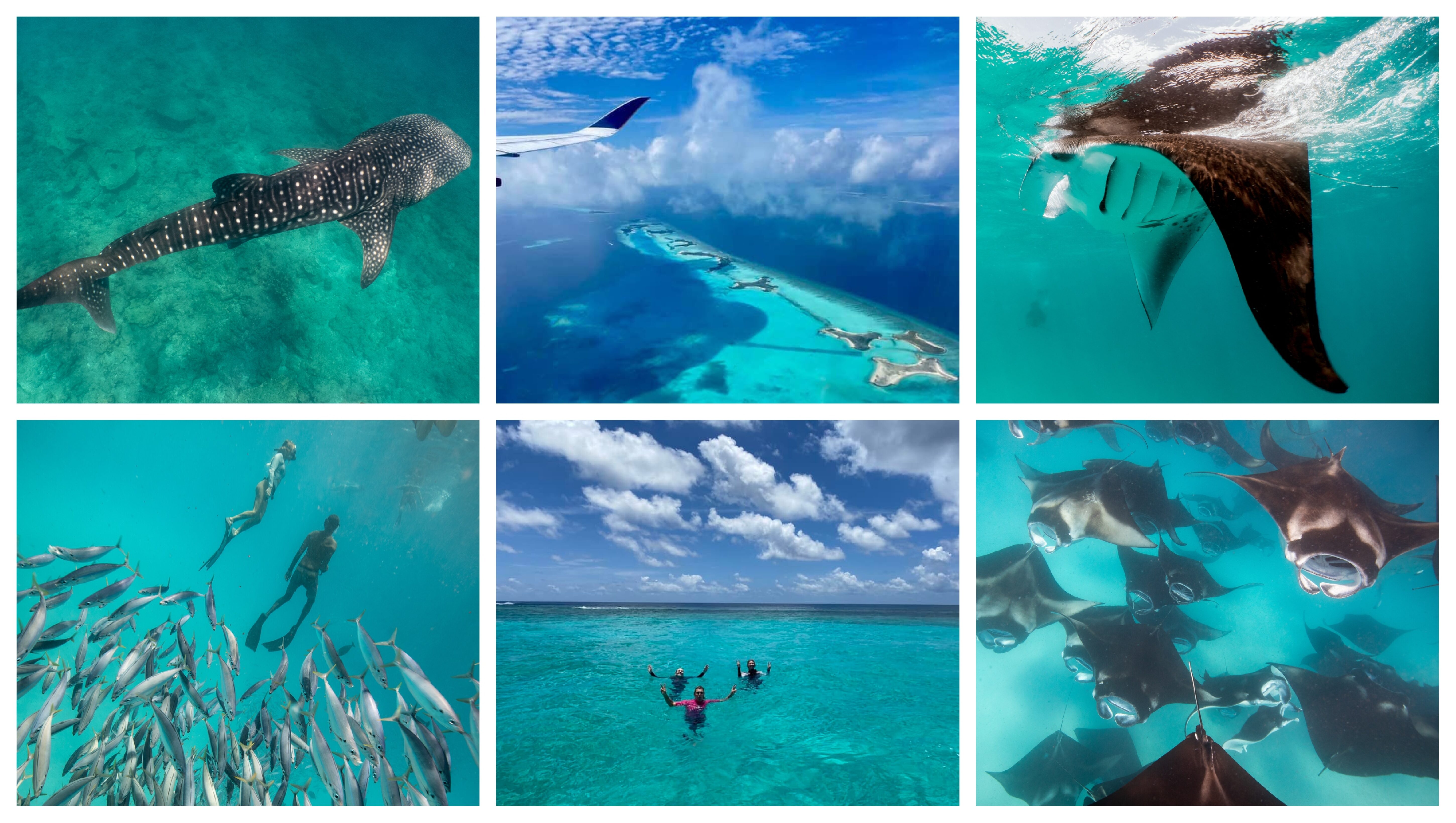 OceanLife Scuba Expeditions | Maldives 2026 Dive Trip